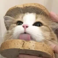 服务学员慧慧：个人提升、情感挽回，分手了怎么办